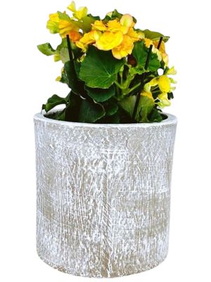 Cylinder Pot Medium Whitewash - H270mm x W280mm - 7kg