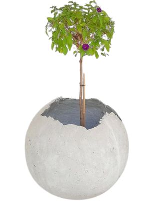 Garden Globe Round Pot Large Cement Finish - H480mm x W480mm - 15kg