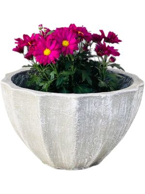 Godiva Pot Small Whitewash Finish - H220mm x W340mm - 6kg