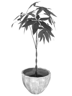 Godiva Pot Large Whitewash Finish - H420mm x W550mm - 17kg
