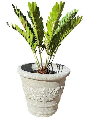 Tudor Fern Planter Whitewash Finish - H560mm x W640mm - 37kg
