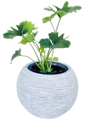 Hope Round Pot with Small Stripes Whitewash Finish - H320mm x W380mm - 11kg