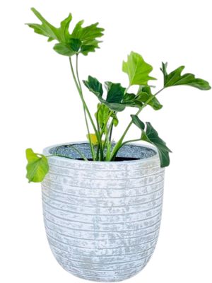 Hope Plant Pot Medium with Large Stripes Whitewash - Finish H350mm x W340mm - 11kg
