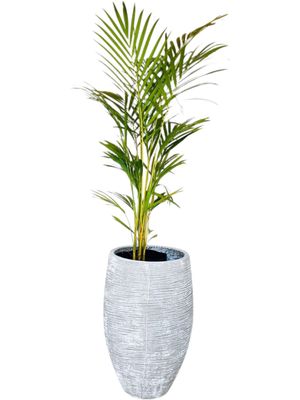 Braided Butter Pot Large Whitewash Finish - H630mm  x W340mm - 19kg