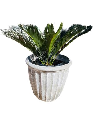 Alfred Pot Large Whitewash Finish - H430mm x W470mm - 15Kg