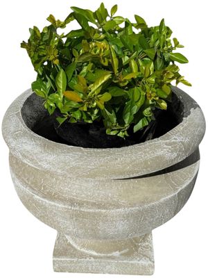 Erika Pot Whitewash Finish - H410mm x W420mm - 20kg