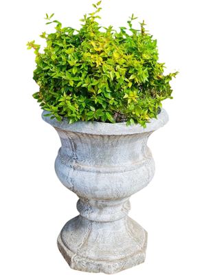Classic Urn Planter Whitewash Finish - H505mm x W420mm - 29kg