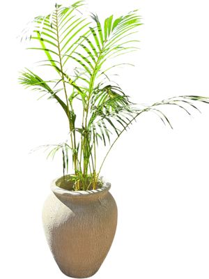 Turkish Jar Medium Whitewash Finish  - H480mm-W400mm - Mouth 250mm 16kg