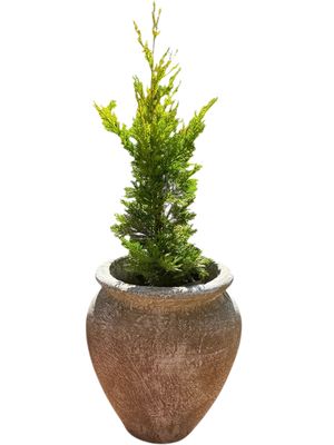 Turkish Jar Small Whitewash Finish - H420mm -W360-Mouth250mm- 12kg