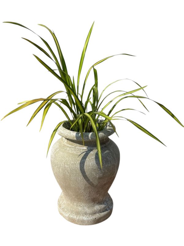 Bell Jar Whitewash Finish - H495mm x W240mm - 17kg