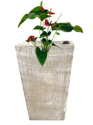 Sponge Bob Pot Whitewash Finish - Height 520mm - 22kg
