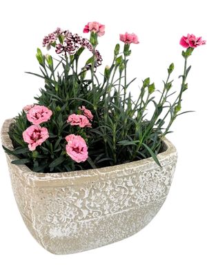 Anvick Pot Medium Whitewash Finish - H210mm x W310mm - 5kg