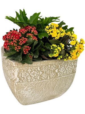 Anvick Pot Large Whitewash Finish - H250mm x W360mm - 8kg