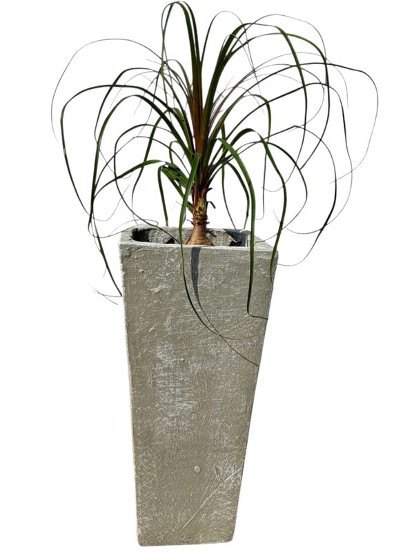 Square Slim Pot Small Whitewash Finish - H560mm-With220mm-Mouth220mm - 17kg