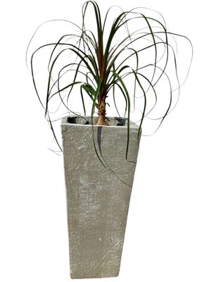 Square Slim Pot Small Whitewash Finish - H560mm-With220mm-Mouth220mm - 17kg