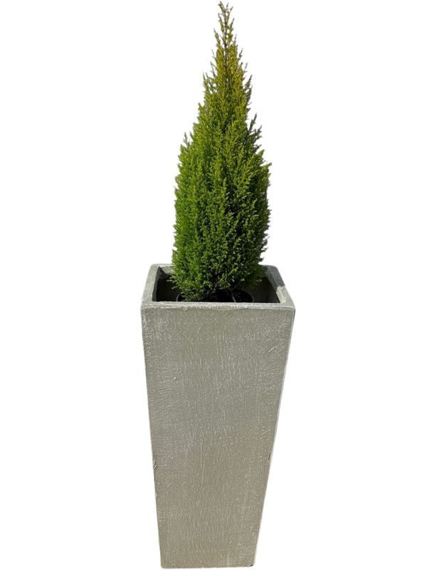 Square Slim Pot Medium Whitewash Finish - H702mm-W330mm-Mouth280mm - 26kg