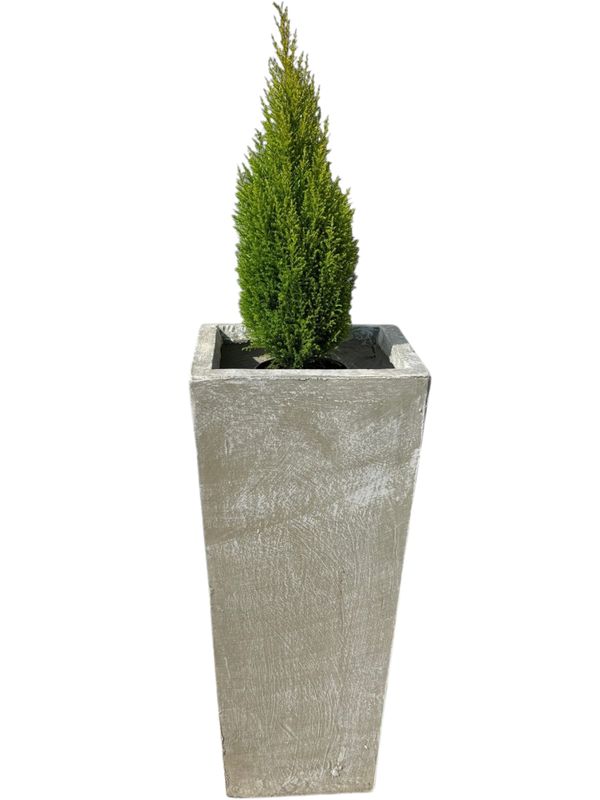 Square Slim Pot Large Whitewash Finish - H901mm-With410mm-Mouth310mm - 55kg