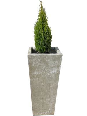 Square Slim Pot Large Whitewash Finish - H901mm-With410mm-Mouth310mm - 55kg