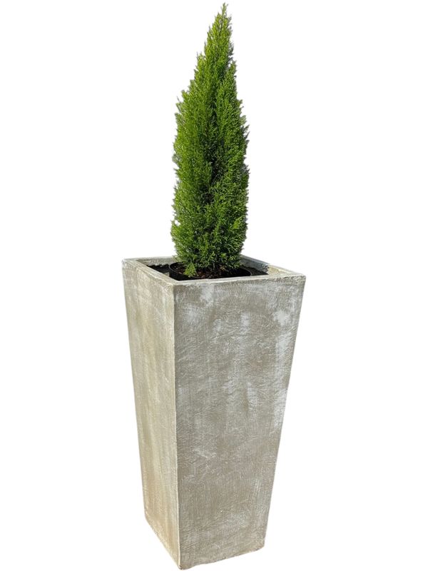Square Slim Pot Extra Large Whitewash Finish - H1007mm-With510mm-Mouth400mm - 78kg
