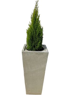 Square Slim Pot with Liner Medium Whitewash Finish - H702mm x W330mm - 37kg