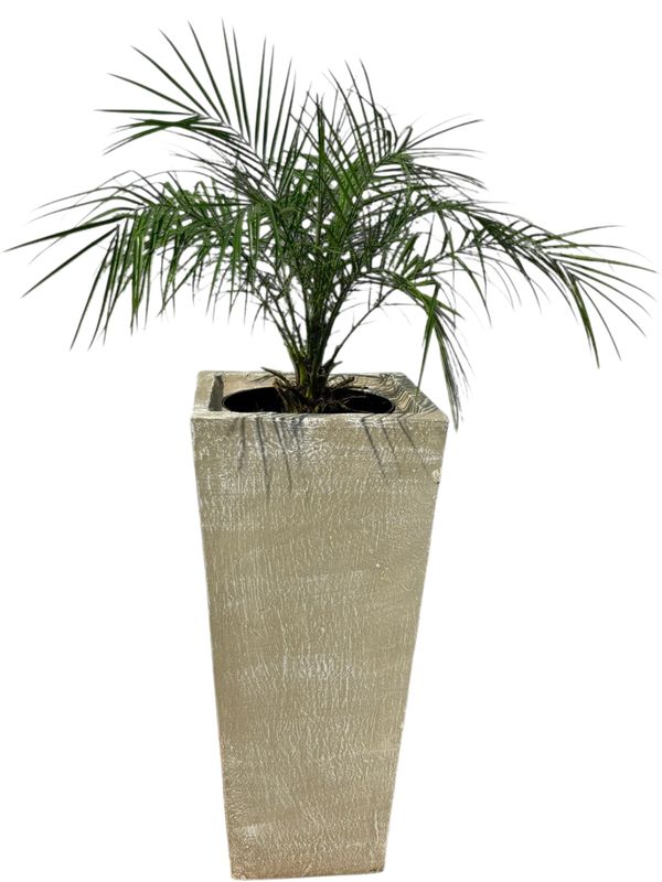 Square Slim Pot with Liner Large Whitewash Finish - L901mm x W420 - 60kg