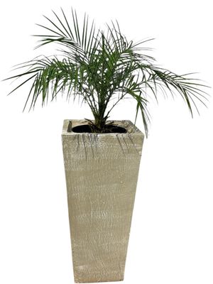Square Slim Pot with Liner Large Whitewash Finish - L901mm x W420 - 60kg