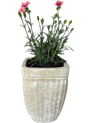 Square Stripe Pot Small Whitewash Finish - H280mm x W210mm - 5.6kg