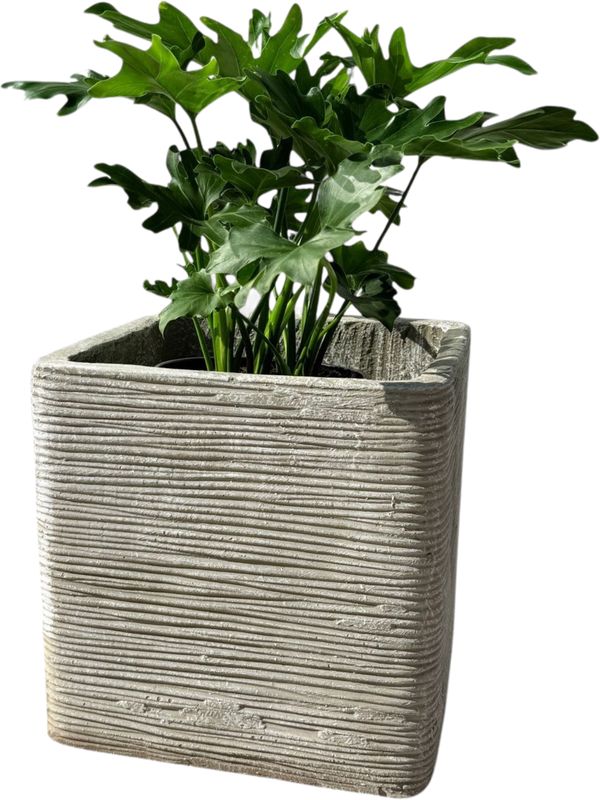 Braided Square Planter Medium Whitewash Finish - H300mm x W300mm - 10kg