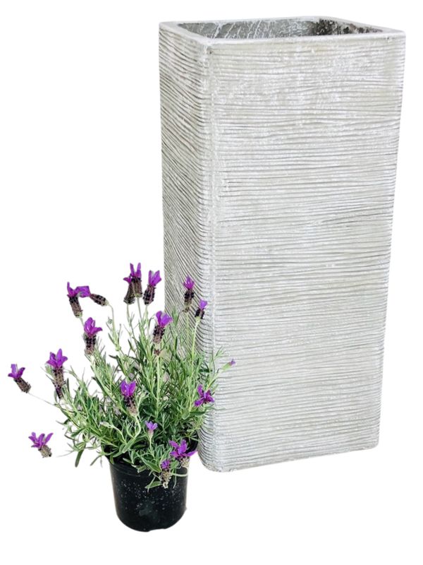 Braided Pillar Pot Extra Large Whitewash Finish - H720mm x W325mm - 29kg