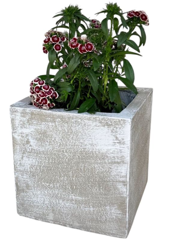 Ondela Square Pot Medium Whitewash Finish - H300mm x L300mm x W300mm - 15kg