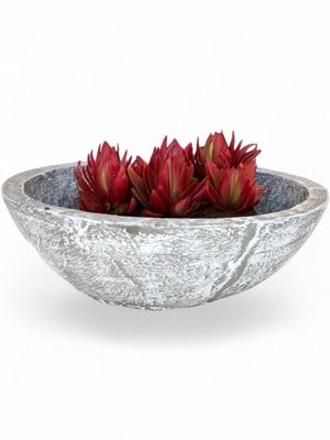 Crassula &amp; Cactus Pot Medium Whitewash Finish - H100mm x W340mm - 4kg