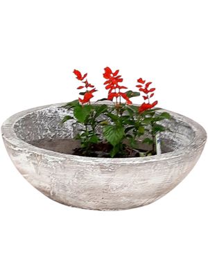 Crassula &amp; Cactus Pot Large Whitewash Finish - H104mm x W440mm -  8 kg
