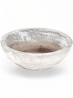 Crassula &amp; Cactus Pot Large Whitewash Finish - H104mm x W440mm -  8 kg