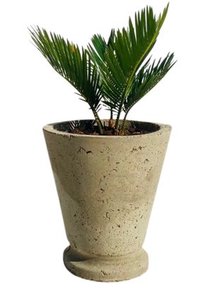 Edden Pot Small Rustic Cement Finish - H250mm x W220mm - 4kg
