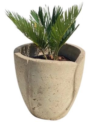 Leaf Pot Small Rustic Cement Finish - H230mm x W240mm - 5kg