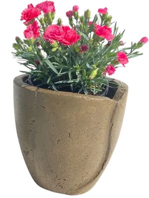 Leaf Pot Small Rustic Antique Amber Finish - H230mm x W240mm - 5kg