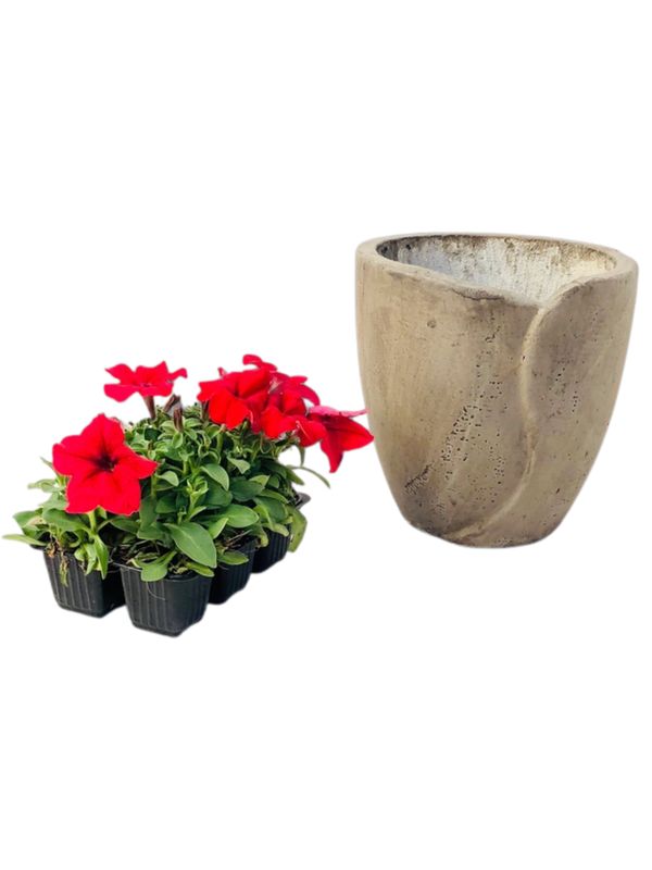 Leaf Pot Small Weathered Grey Finish - H230mm x W240mm - 5kg