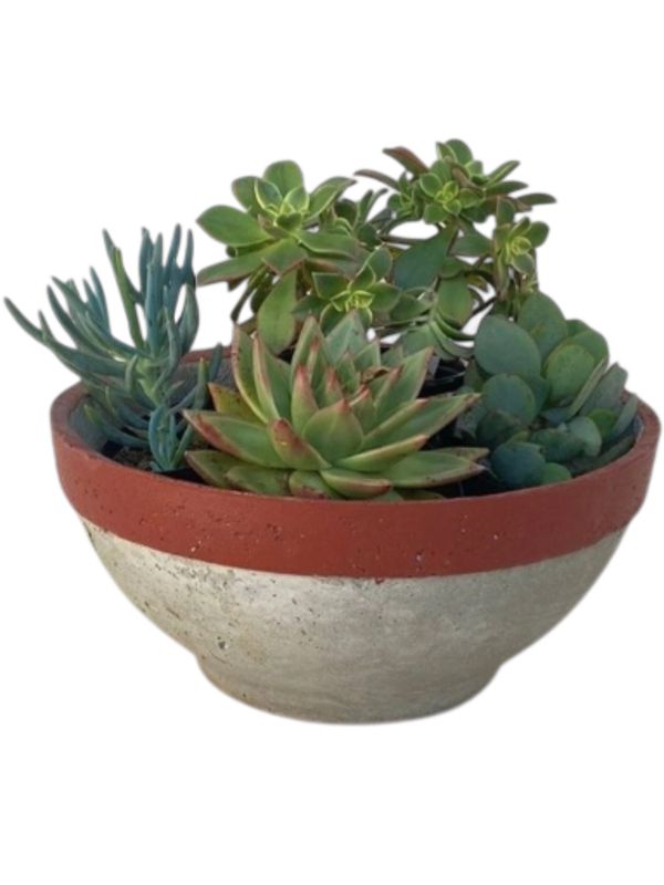 Peace Bowl 2 Large Cement and Red Stripe Finish - H130mm x W300mm - 3kg