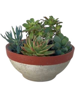 Peace Bowl 2 Large Cement and Red Stripe Finish - H130mm x W300mm - 3kg