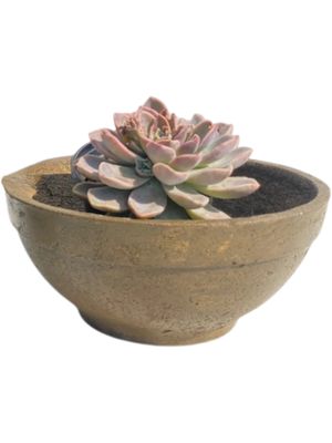 Peace Bowl 2 Large Rustic Antique Amber Finish - H130mm x W300mm - 3kg