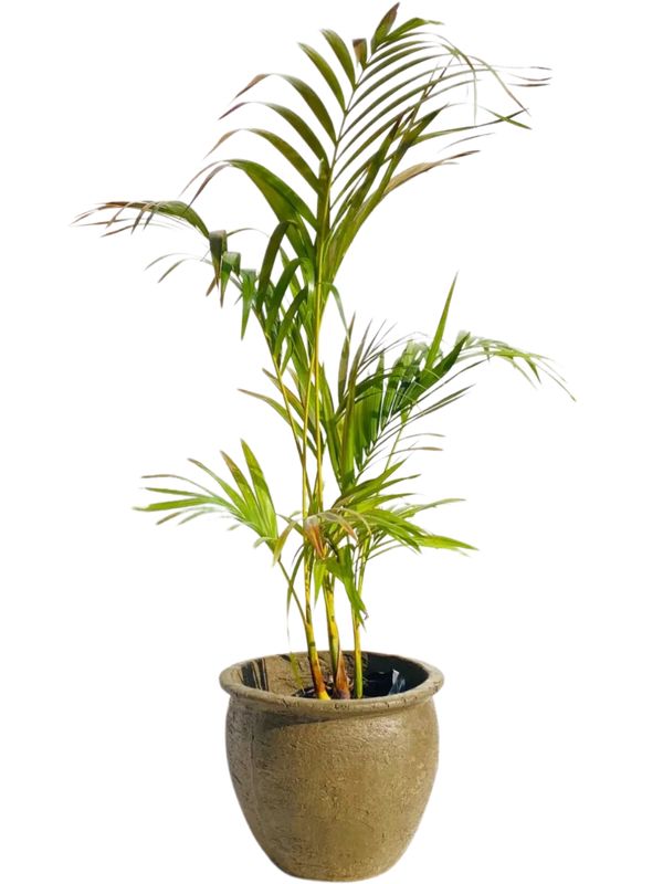 Andries Pot Round Small Rustic Antique Amber Finish - H250mm - 6kg