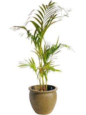 Andries Pot Round Small Rustic Antique Amber Finish - H250mm - 6kg