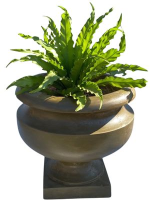 Erika Pot Antique Amber Finish - H410mm x W420mm - 20kg