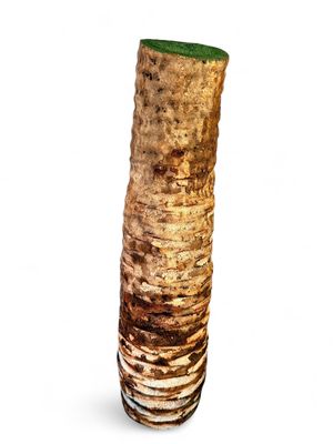 Sisal Nesting Logs H700mm x W200mm 2.2kg