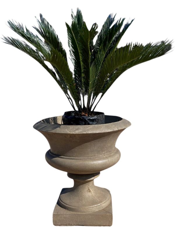 Angelica Urn Weathered Grey Finish - H650mm x W530mm x Base 400mm - 49kg