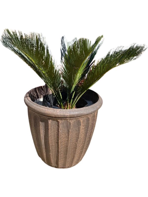 Alfred Pot Large Mecca Brown Finish - H430mm x W470mm - 15Kg