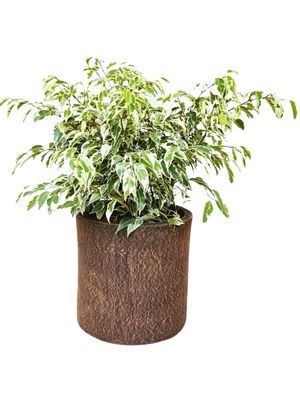 Cylinder Pot Medium Mecca Brown - H270mm x W280mm - 7kg