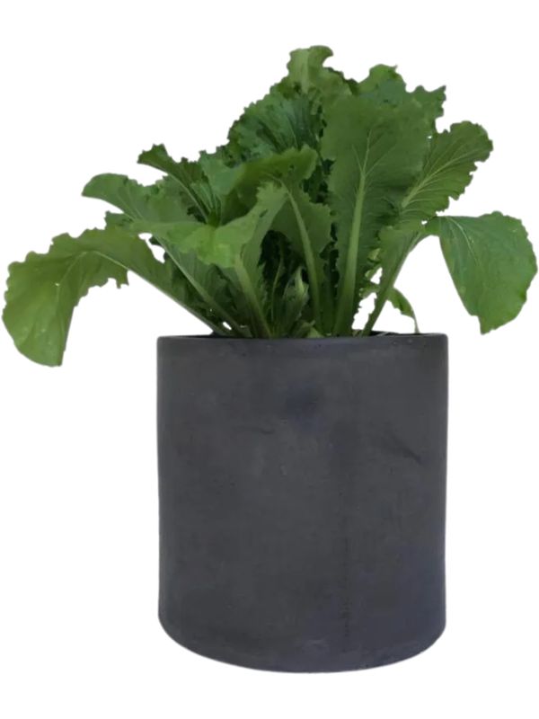 Cylinder Pot Large Black - H350mm x W370mm - 12kg