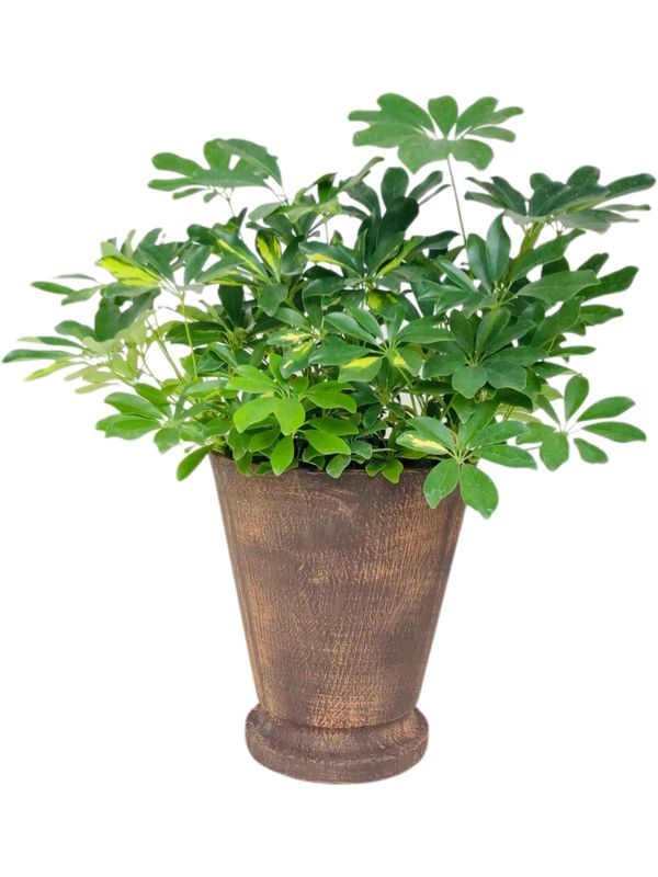 Edden Pot Medium Mecca Brown Finish - H360mm x W320mm - 9kg