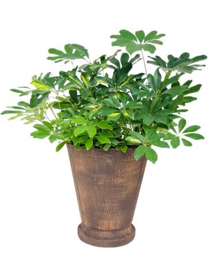 Edden Pot Medium Mecca Brown Finish - H360mm x W320mm - 9kg